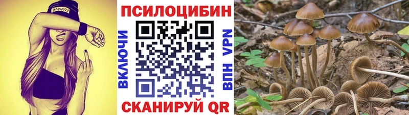 Псилоцибиновые грибы мицелий  Новотитаровская 